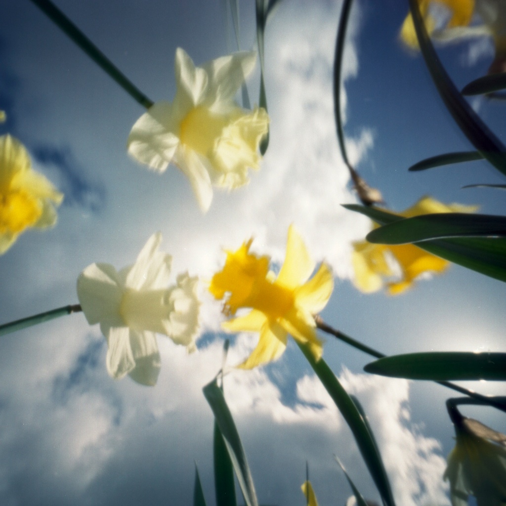 image from Portfolio
